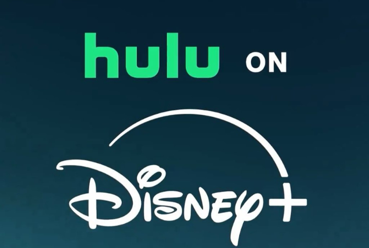 Hulu-Disney+ app launching soon! How much money has Disney lost?